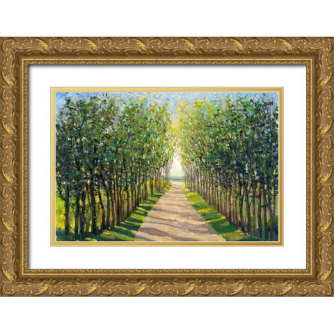 Walking Trail II Gold Ornate Wood Framed Art Print with Double Matting by OToole, Tim