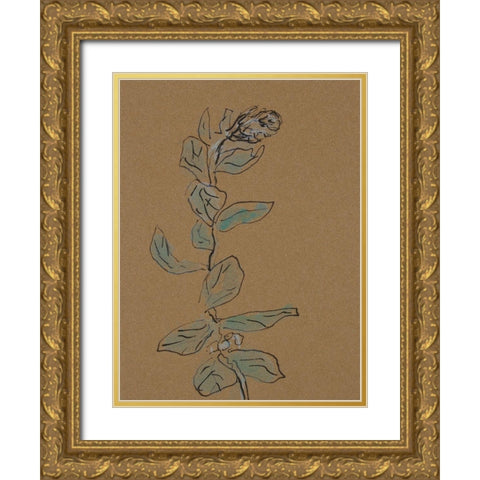 Little Plants of Big Sur XIV Gold Ornate Wood Framed Art Print with Double Matting by Delamater, Rob