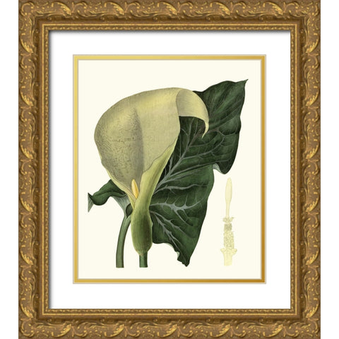 Grand Foliage III Gold Ornate Wood Framed Art Print with Double Matting by Vision Studio
