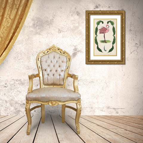 Antiquarian Menagerie - Flamingo I Gold Ornate Wood Framed Art Print with Double Matting by McCavitt, Naomi