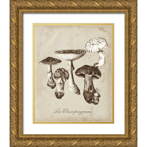 Les Champignons I Gold Ornate Wood Framed Art Print with Double Matting by McCavitt, Naomi