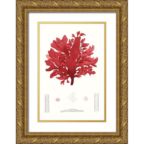 Striking Seaweed I Gold Ornate Wood Framed Art Print with Double Matting by Vision Studio