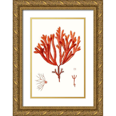 Striking Seaweed II Gold Ornate Wood Framed Art Print with Double Matting by Vision Studio