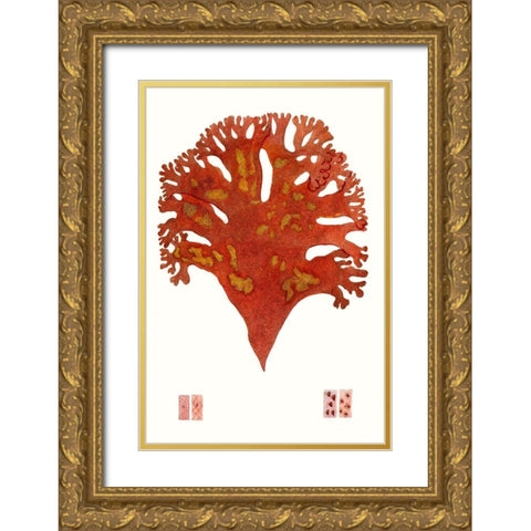 Striking Seaweed III Gold Ornate Wood Framed Art Print with Double Matting by Vision Studio