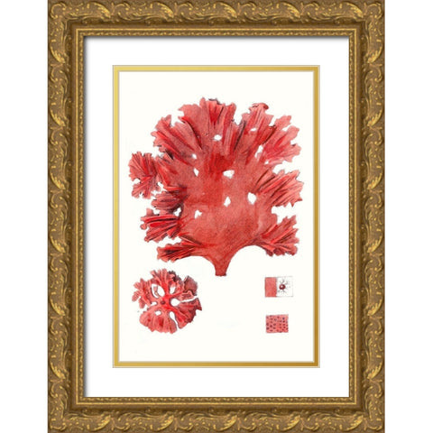 Striking Seaweed IV Gold Ornate Wood Framed Art Print with Double Matting by Vision Studio