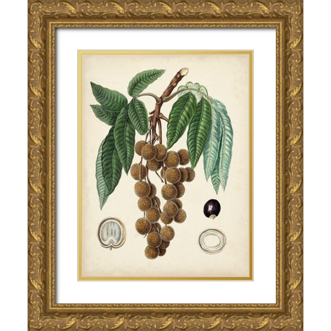 Antique Foliage and Fruit III Gold Ornate Wood Framed Art Print with Double Matting by Vision Studio