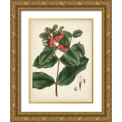 Antique Foliage and Fruit IV Gold Ornate Wood Framed Art Print with Double Matting by Vision Studio
