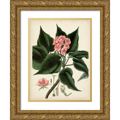 Antique Foliage and Fruit V Gold Ornate Wood Framed Art Print with Double Matting by Vision Studio