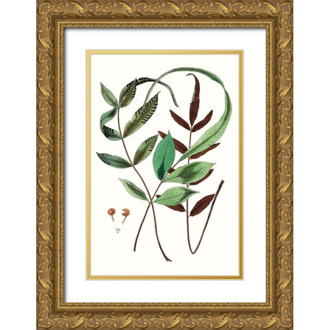 Fern Foliage II Gold Ornate Wood Framed Art Print with Double Matting by Vision Studio