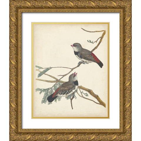 Graceful Birds I Gold Ornate Wood Framed Art Print with Double Matting by Vision Studio