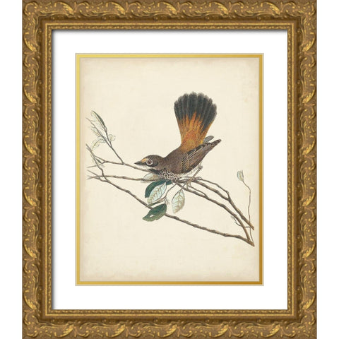 Graceful Birds II Gold Ornate Wood Framed Art Print with Double Matting by Vision Studio