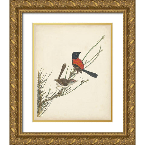 Graceful Birds III Gold Ornate Wood Framed Art Print with Double Matting by Vision Studio