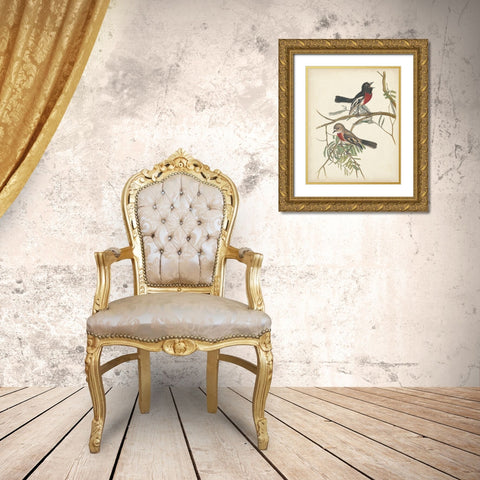 Graceful Birds IV Gold Ornate Wood Framed Art Print with Double Matting by Vision Studio