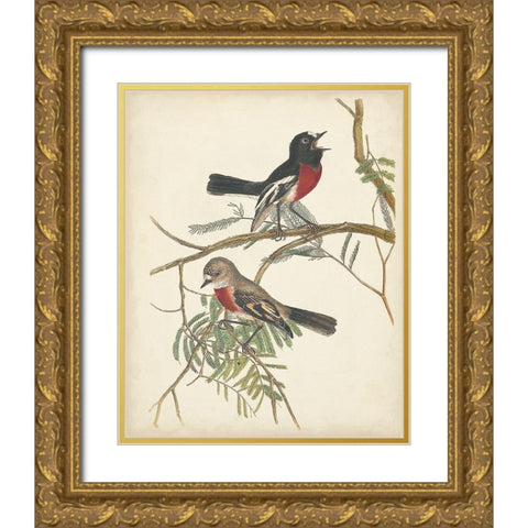 Graceful Birds IV Gold Ornate Wood Framed Art Print with Double Matting by Vision Studio