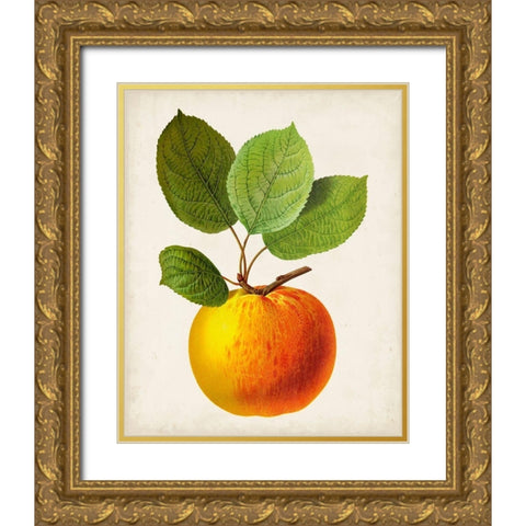 Antique Fruit I Gold Ornate Wood Framed Art Print with Double Matting by Vision Studio