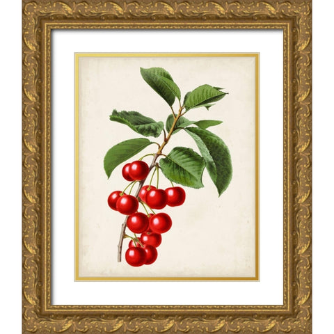 Antique Fruit II Gold Ornate Wood Framed Art Print with Double Matting by Vision Studio