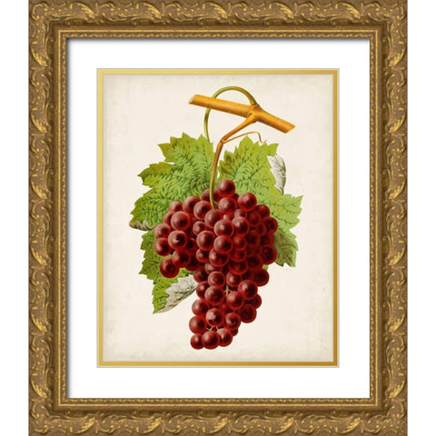 Antique Fruit III Gold Ornate Wood Framed Art Print with Double Matting by Vision Studio