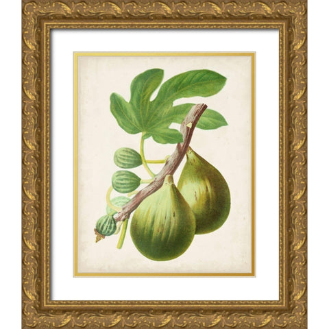 Antique Fruit IV Gold Ornate Wood Framed Art Print with Double Matting by Vision Studio