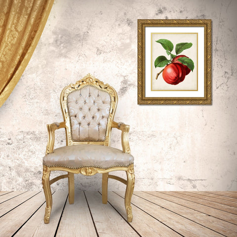 Antique Fruit X Gold Ornate Wood Framed Art Print with Double Matting by Vision Studio