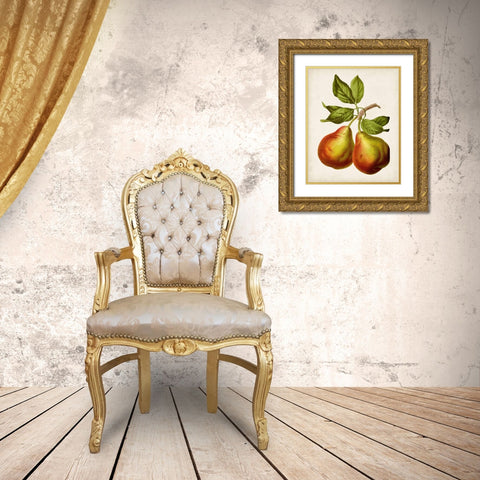 Antique Fruit XI Gold Ornate Wood Framed Art Print with Double Matting by Vision Studio