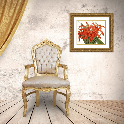 Striking Coral Botanicals I Gold Ornate Wood Framed Art Print with Double Matting by Curtis