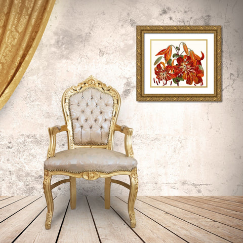 Striking Coral Botanicals II Gold Ornate Wood Framed Art Print with Double Matting by Curtis