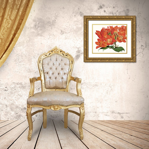 Striking Coral Botanicals III Gold Ornate Wood Framed Art Print with Double Matting by Curtis