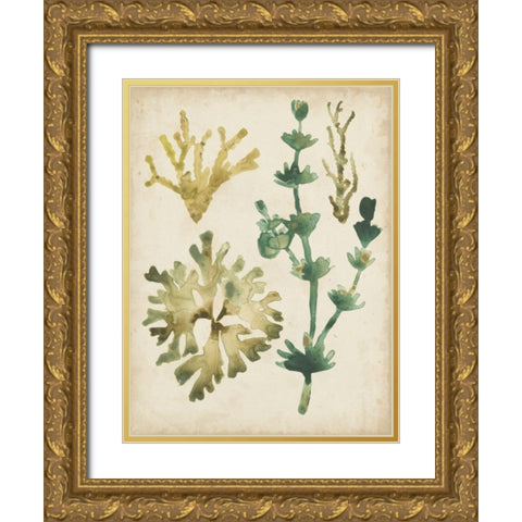 Vintage Sea Fronds II Gold Ornate Wood Framed Art Print with Double Matting by Vess, June Erica