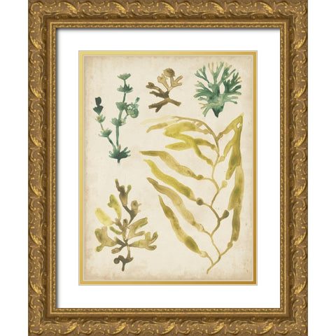 Vintage Sea Fronds IV Gold Ornate Wood Framed Art Print with Double Matting by Vess, June Erica