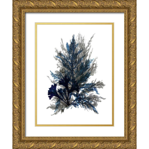 Ocean Bloom II Gold Ornate Wood Framed Art Print with Double Matting by Stellar Design Studio