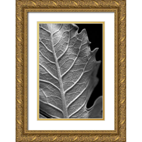 Striking Leaf II Gold Ornate Wood Framed Art Print with Double Matting by Stramel, Renee W.