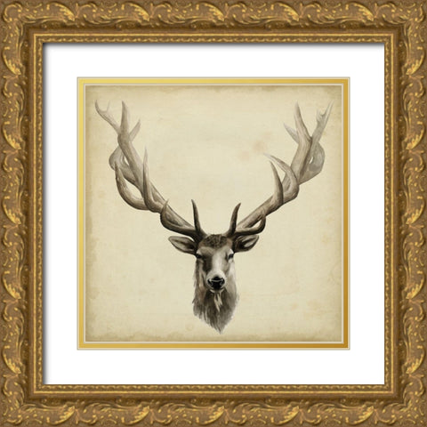 Triptych Elk Square Gold Ornate Wood Framed Art Print with Double Matting by Popp, Grace