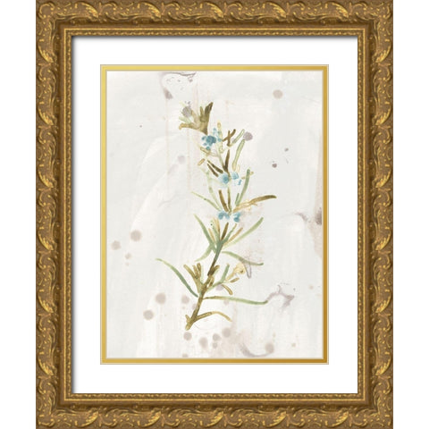Antique Earthtone Herbs III Gold Ornate Wood Framed Art Print with Double Matting by Vess, June Erica