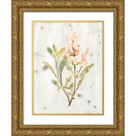 Antique Earthtone Herbs IV Gold Ornate Wood Framed Art Print with Double Matting by Vess, June Erica