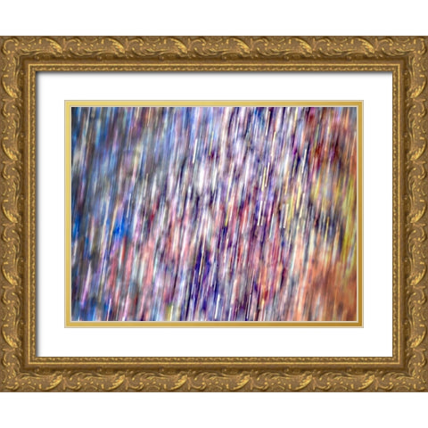 Bohemian Spirits II Gold Ornate Wood Framed Art Print with Double Matting by Bane, Eva