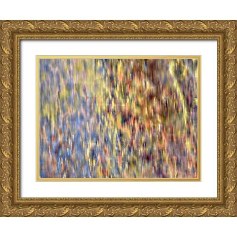 Bohemian Spirits IV Gold Ornate Wood Framed Art Print with Double Matting by Bane, Eva