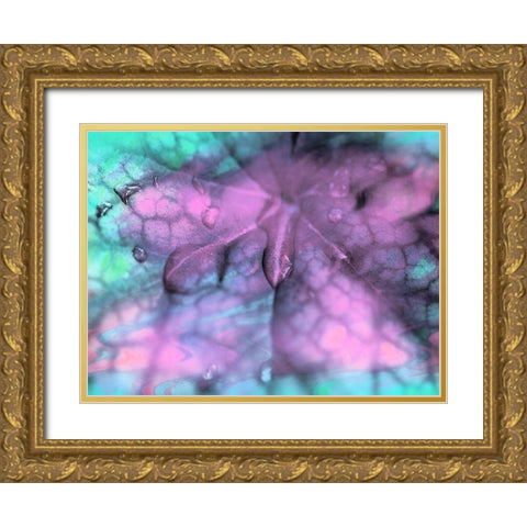 Celestial Dew Drops II Gold Ornate Wood Framed Art Print with Double Matting by Bane, Eva