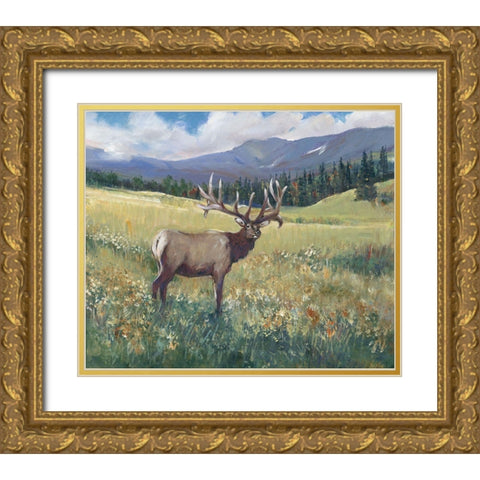 Rocky Mountain Elk I Gold Ornate Wood Framed Art Print with Double Matting by OToole, Tim