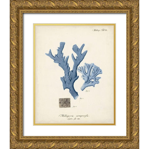 Antique Coral in Navy I Gold Ornate Wood Framed Art Print with Double Matting by Esper, Johann