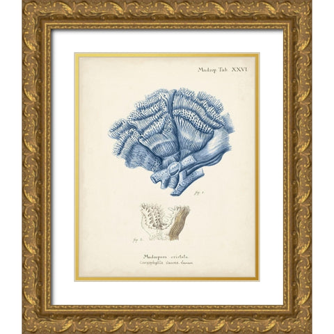 Antique Coral in Navy II Gold Ornate Wood Framed Art Print with Double Matting by Esper, Johann