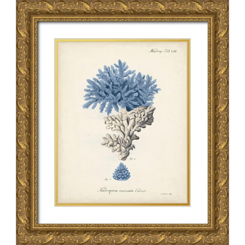 Antique Coral in Navy III Gold Ornate Wood Framed Art Print with Double Matting by Esper, Johann