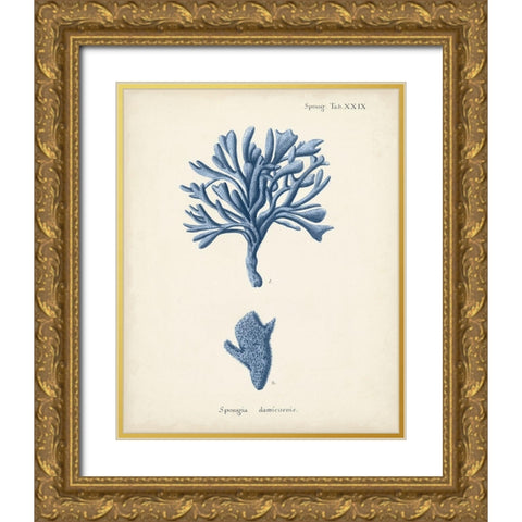 Antique Coral in Navy IV Gold Ornate Wood Framed Art Print with Double Matting by Esper, Johann