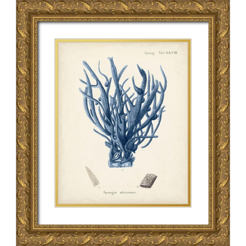 Antique Coral in Navy V Gold Ornate Wood Framed Art Print with Double Matting by Esper, Johann