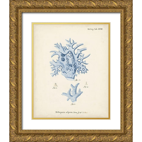Antique Coral in Navy VI Gold Ornate Wood Framed Art Print with Double Matting by Esper, Johann