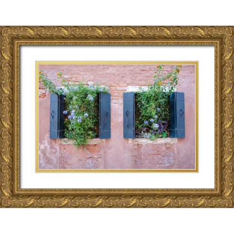 Italian Window Flowers II Gold Ornate Wood Framed Art Print with Double Matting by DeNardo, Laura