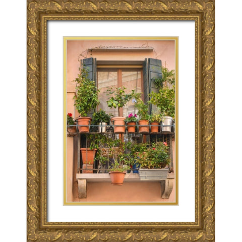 Italian Window Flowers III Gold Ornate Wood Framed Art Print with Double Matting by DeNardo, Laura