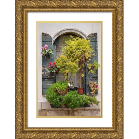 Italian Window Flowers IV Gold Ornate Wood Framed Art Print with Double Matting by DeNardo, Laura