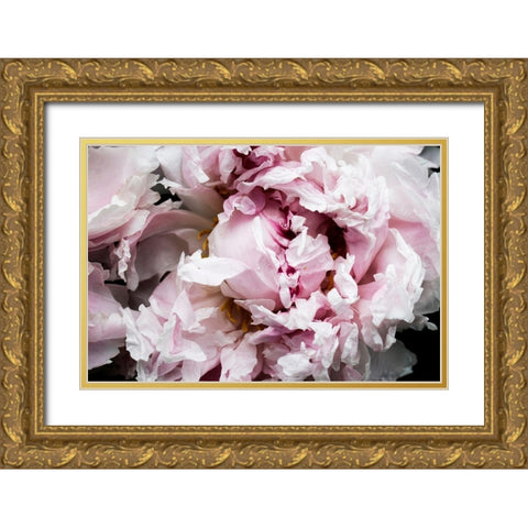 Pink Peony Passion II Gold Ornate Wood Framed Art Print with Double Matting by Orlov, Irena