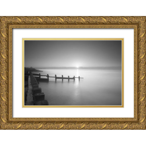 Morning Tranquility Gold Ornate Wood Framed Art Print with Double Matting by Dautlich, Nick