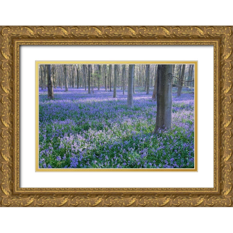 Bluebell Dreams I Gold Ornate Wood Framed Art Print with Double Matting by Dautlich, Nick